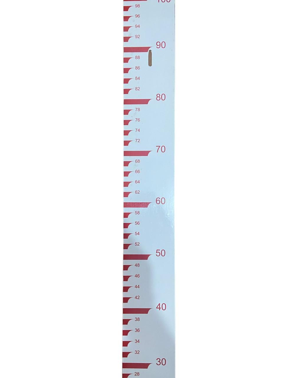 Miniatura: Régua  Linimetrica Padrão “ANA”, Aço Carbono - 2 X 100 X 1000MM