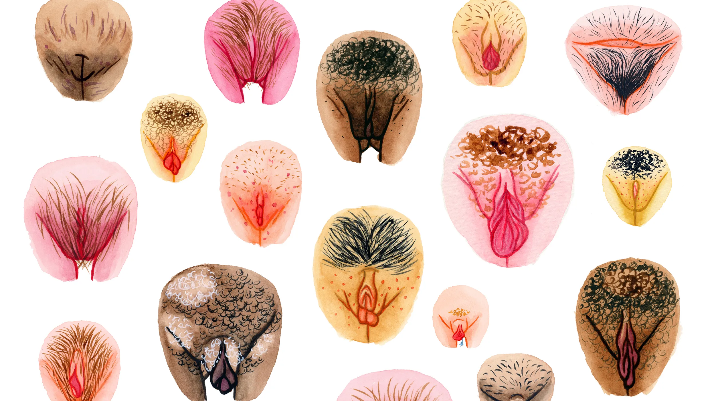 The_20Vulva_20Gallery_20_E2_80_93_20Vulva_20Variety_20II_20_E2_80_93_20Square_20image_20II