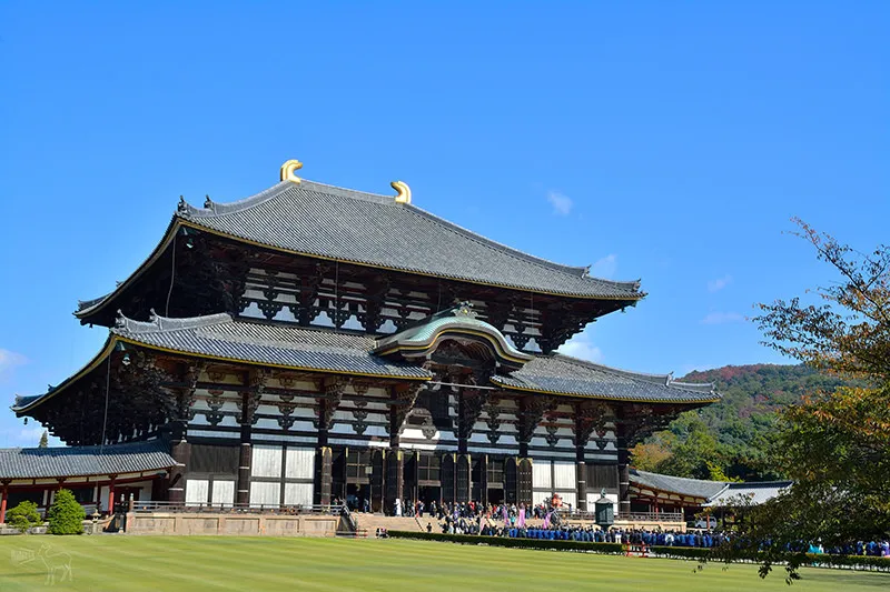心咲旅修・日本|大阪解剖拔罐證照旅修
