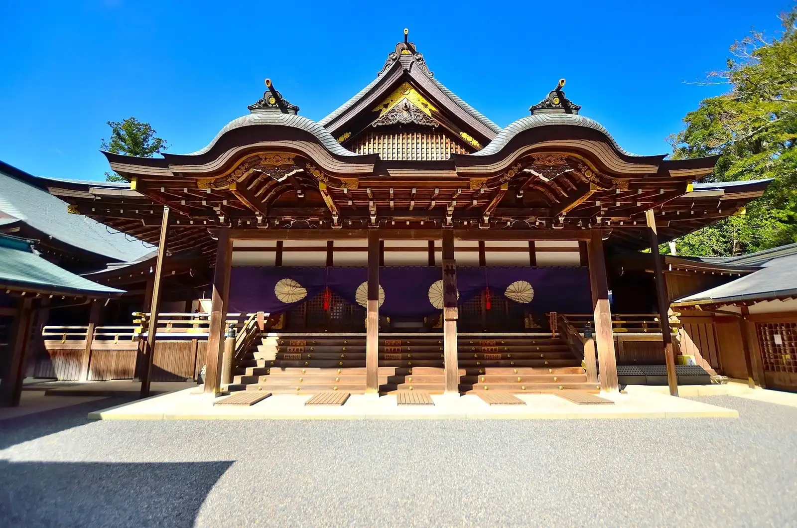 心咲旅修・日本|大阪解剖拔罐證照旅修