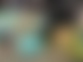 toys go green玩具展