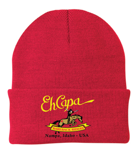 Ehcapa CP90 Port & Company® - Knit Cap Embroidered | Riverside Embroidery