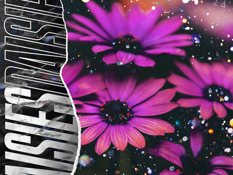 Nexeri continues oriental-infused chill house with ‘Daisies’