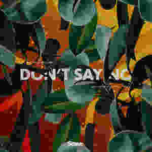 aérotique don't say no artwork