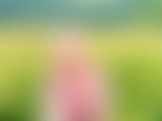 Welcome to the Tender Flower Yoga Blog!