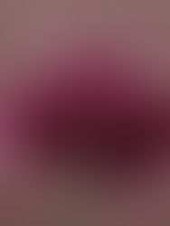 A poppy blossoming, The Inner Bloom Era