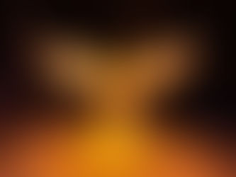 Rising Phoenix from the snow