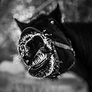 pexels-jane-koplimae-12165036-10820228-13.jpg