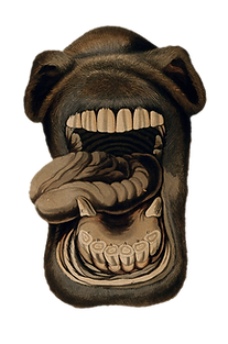 freebie-pferdekopf_01.png