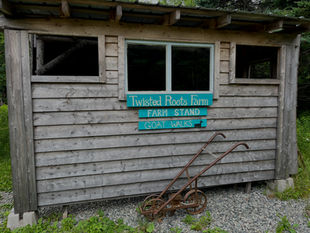 Our Story, Our Vision