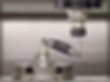 Renishaw