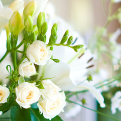 AdobeStock_251082149.jpeg