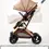 Thumbnail: Stroller 3 in 1