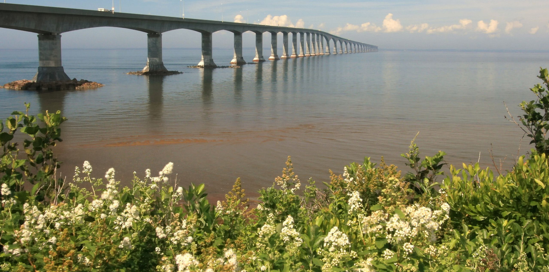 Bridge.jpg