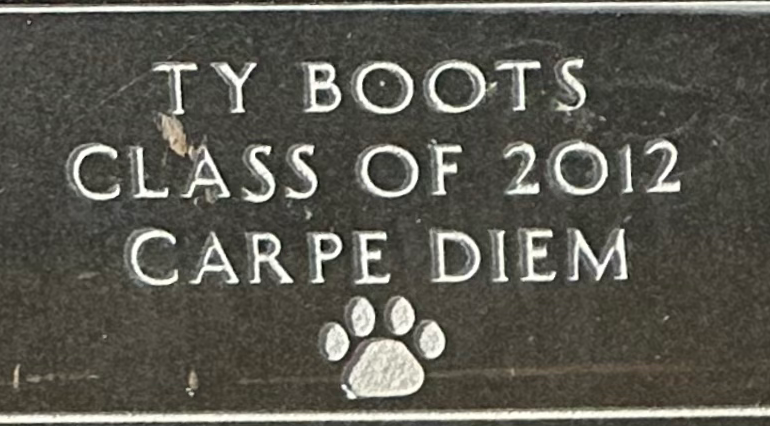 BOOTS, TY