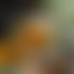 【2024 Sticky Rice Dumpling- pre-order @ Birmingham】