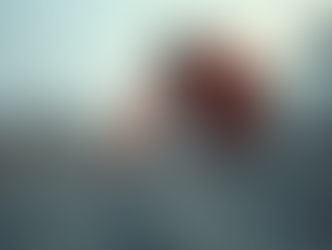 Exploring Roofing Specialists Services: What You Need to Know