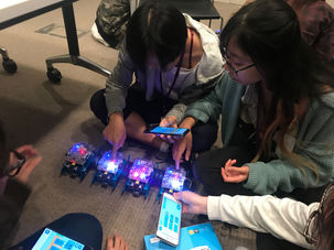 WAI Camp Sydney 2019