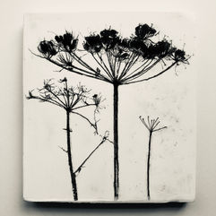 Mixed media, Printmaking, Plaster cast printmaking, Printing with plaster, Intaglio print,  Tamara Williams, Contemporary art, Printmaker, Mark-making