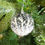 Thumbnail: 2" Snowy Birch Tree Ornament