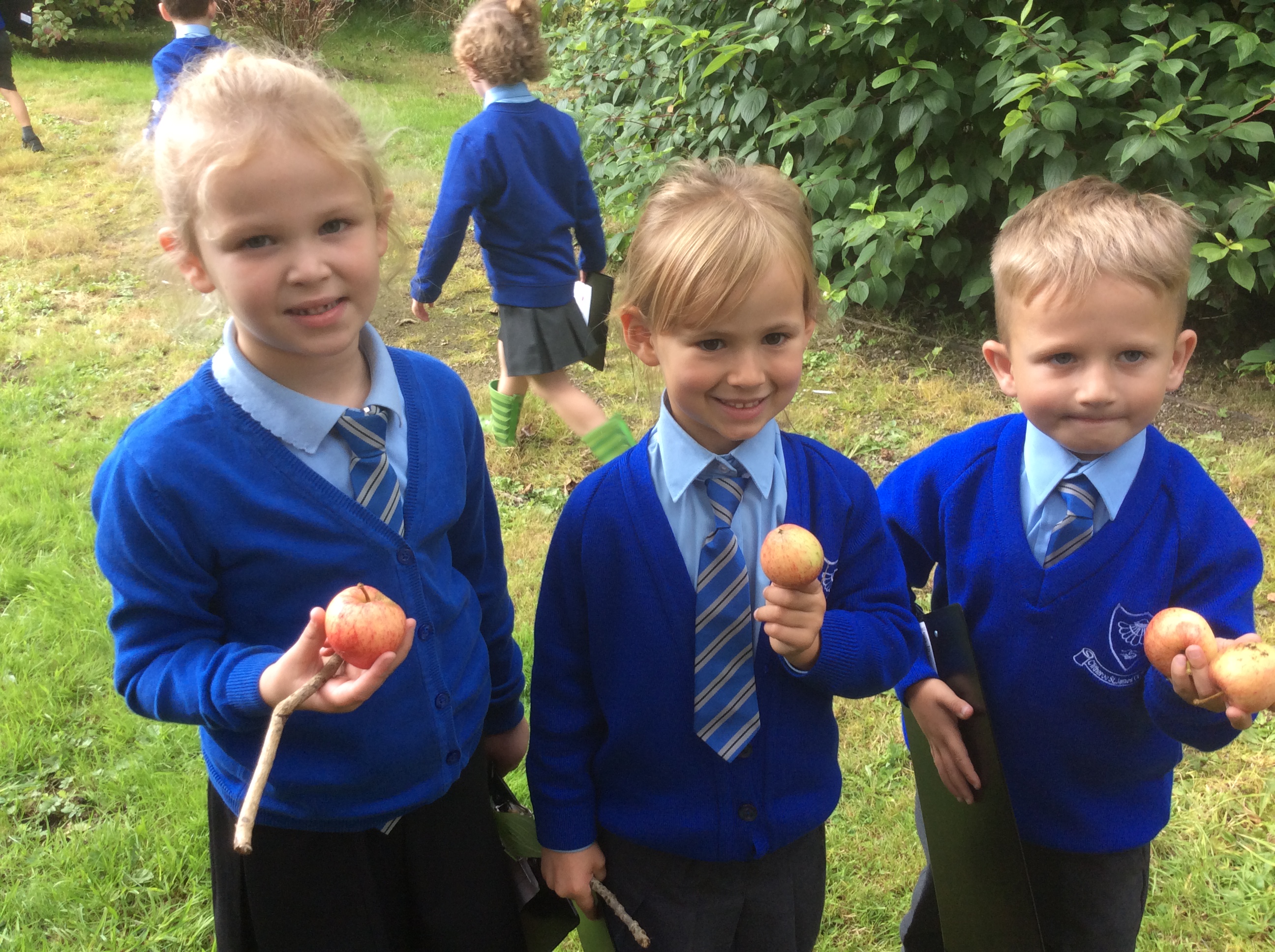 Ash Classroom St. James' C of E Primary School, Clitheroe