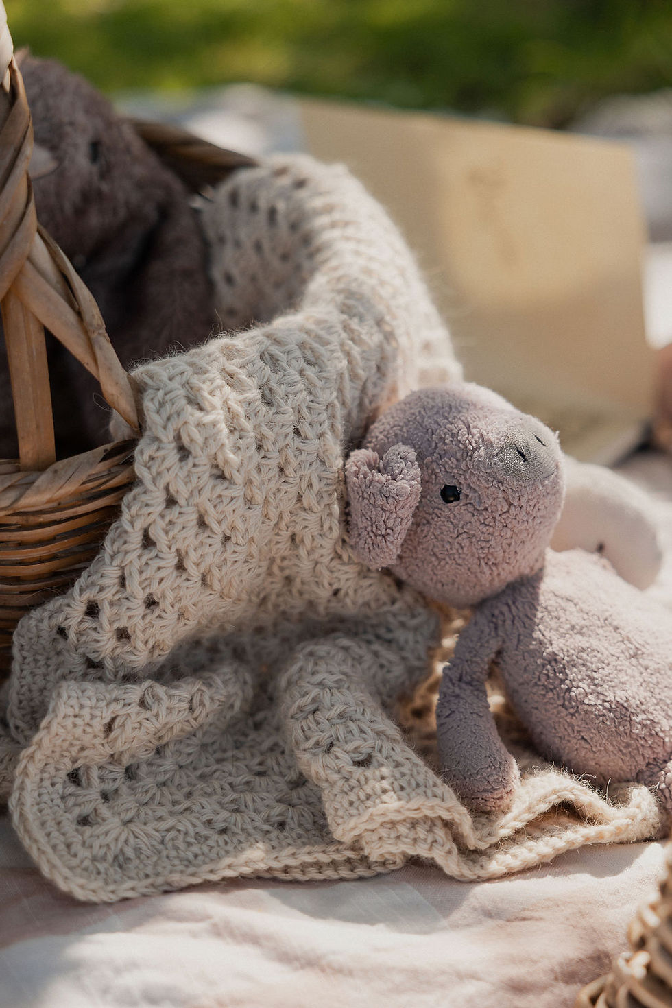 Thumbnail: 100% Baby Alpaca Baby Blanket 