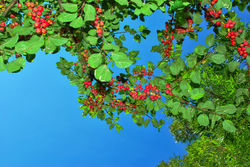 Farben