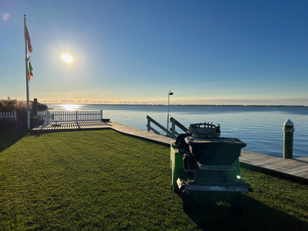 Deep Green Grass by Bay