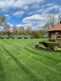 Green Grass with Gazebo