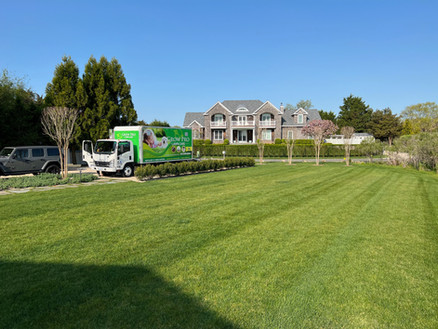 Deep Green Grass Hamptons