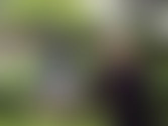 カナダで出会った「新渡戸稲造」①