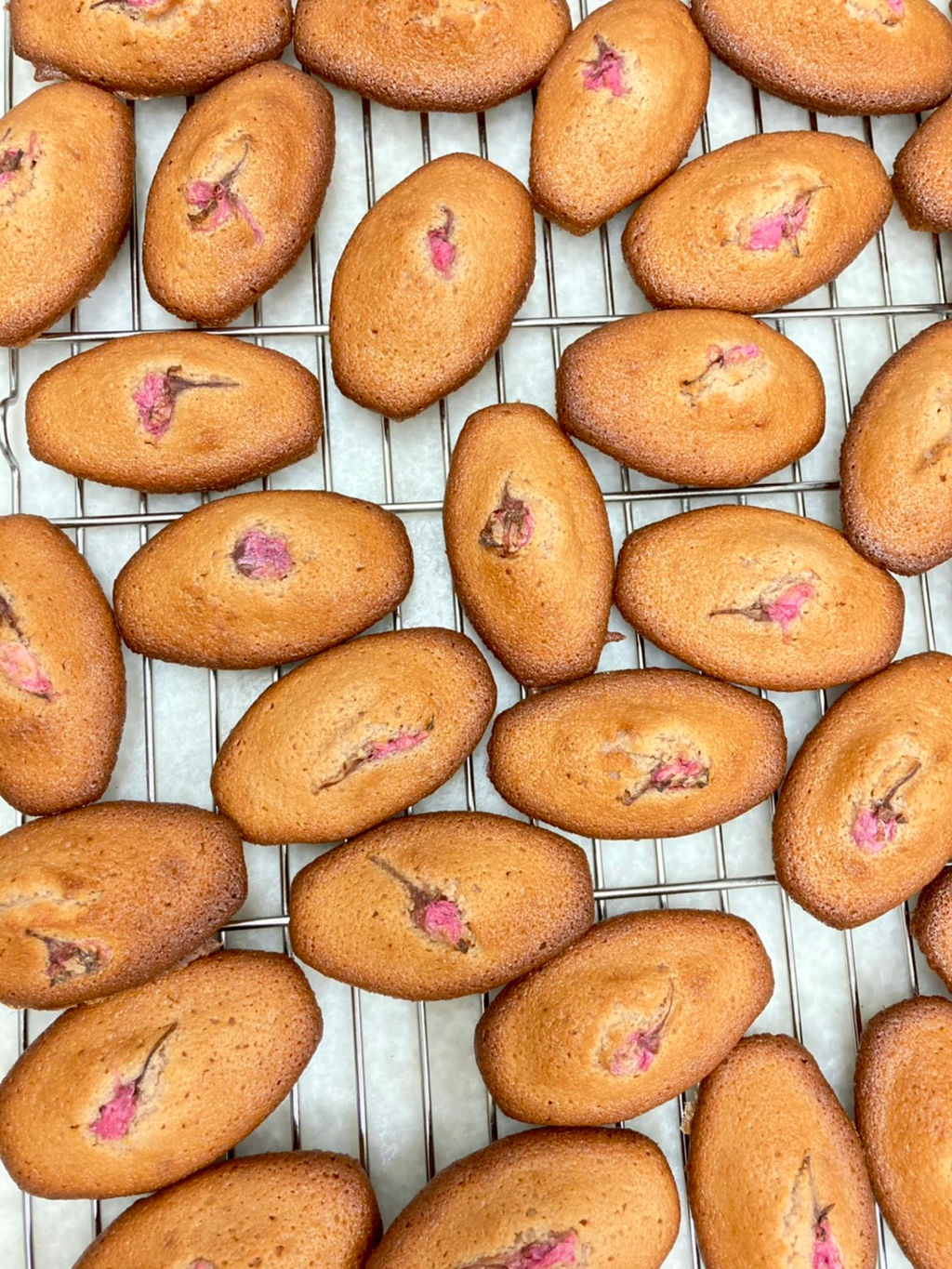 パティスリー タトル明大前洋菓子店 日本