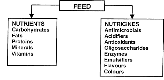 Figure 1 - Components of feed: nutrients and nutricines.