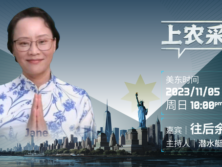 上农节目预告