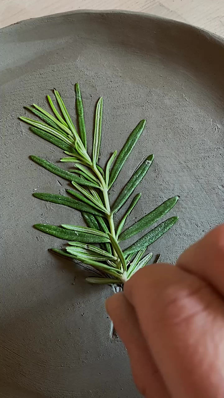 Thumbnail: Herb Side Plates in River Green