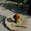 Thumbnail: Fluted Egg Cup