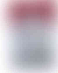 完全無添加ペットのおやつ