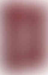 完全無添加ペットのおやつ