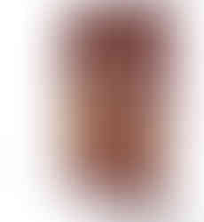 完全無添加ペットのおやつ