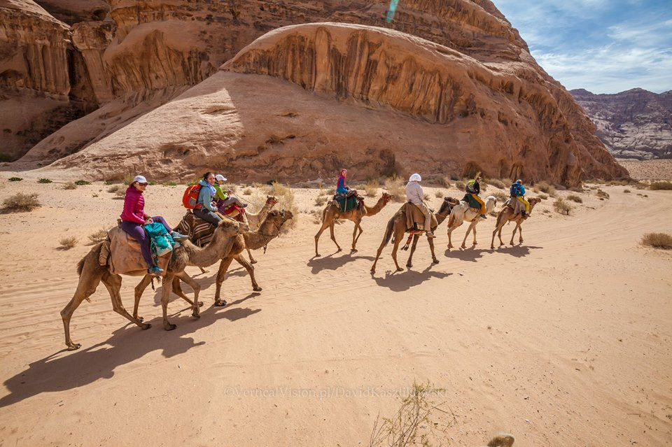 wadi camelss.jpg