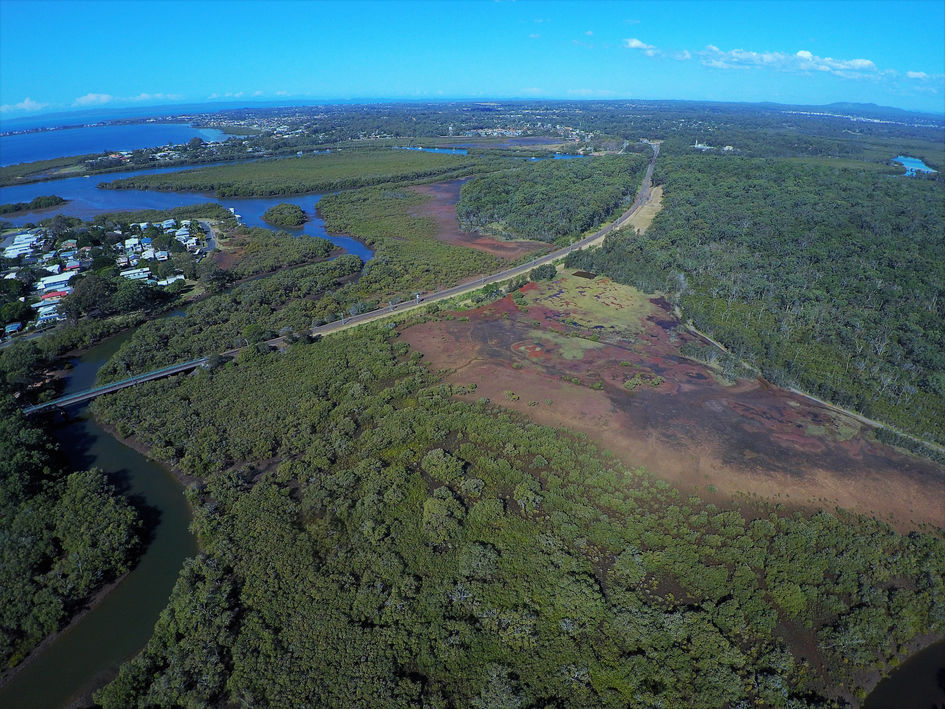 Lota Creek Brisbane Australia important environmental wetlands monitoring