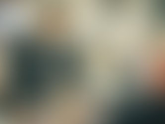 ÚLTIMA SESSÃO PLENÁRIA DE 2022