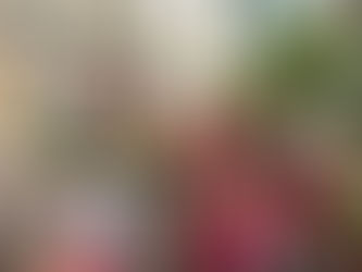 GRUPO TEMPO DE OURO PRESENTEIA CÂMARA COM FLORES