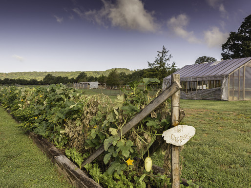 Northwest Arkansas Land Trust Expands Farmland Preservation Program