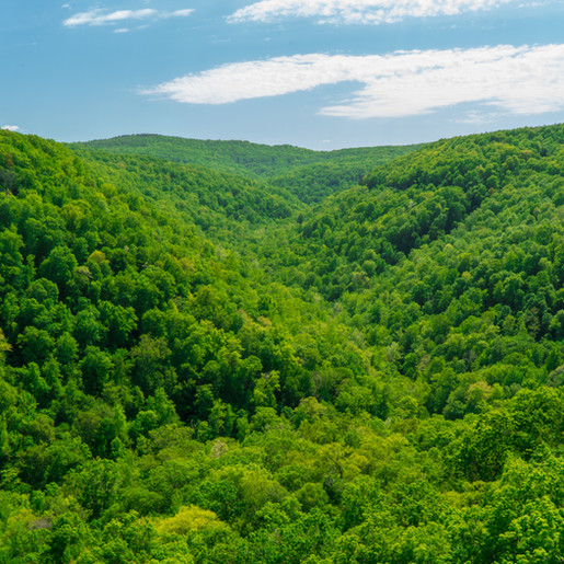 2020 – The What, Why, When and Who of Land Conservation in NWA