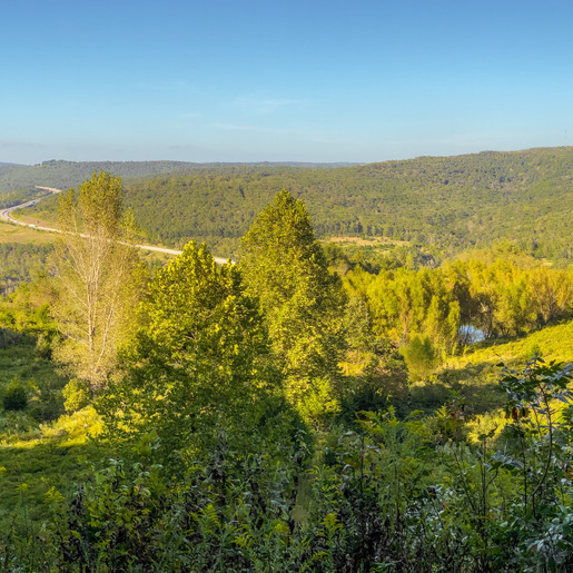 Scenic Gateway to Northwest Arkansas Conserved