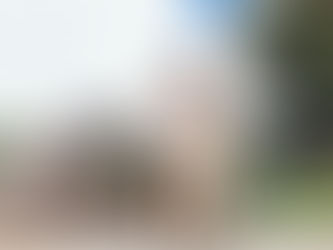 Apicultores que retiren abejas