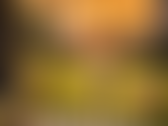 Reportar Panal de Abejas en Casa