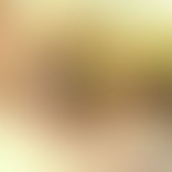 Sarah {unicorns do exist}