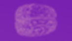 A purple illustration of a human brain, representing thoughts or mental development.